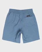 Boys 2-7 Vert Volley 13" Swim Shorts