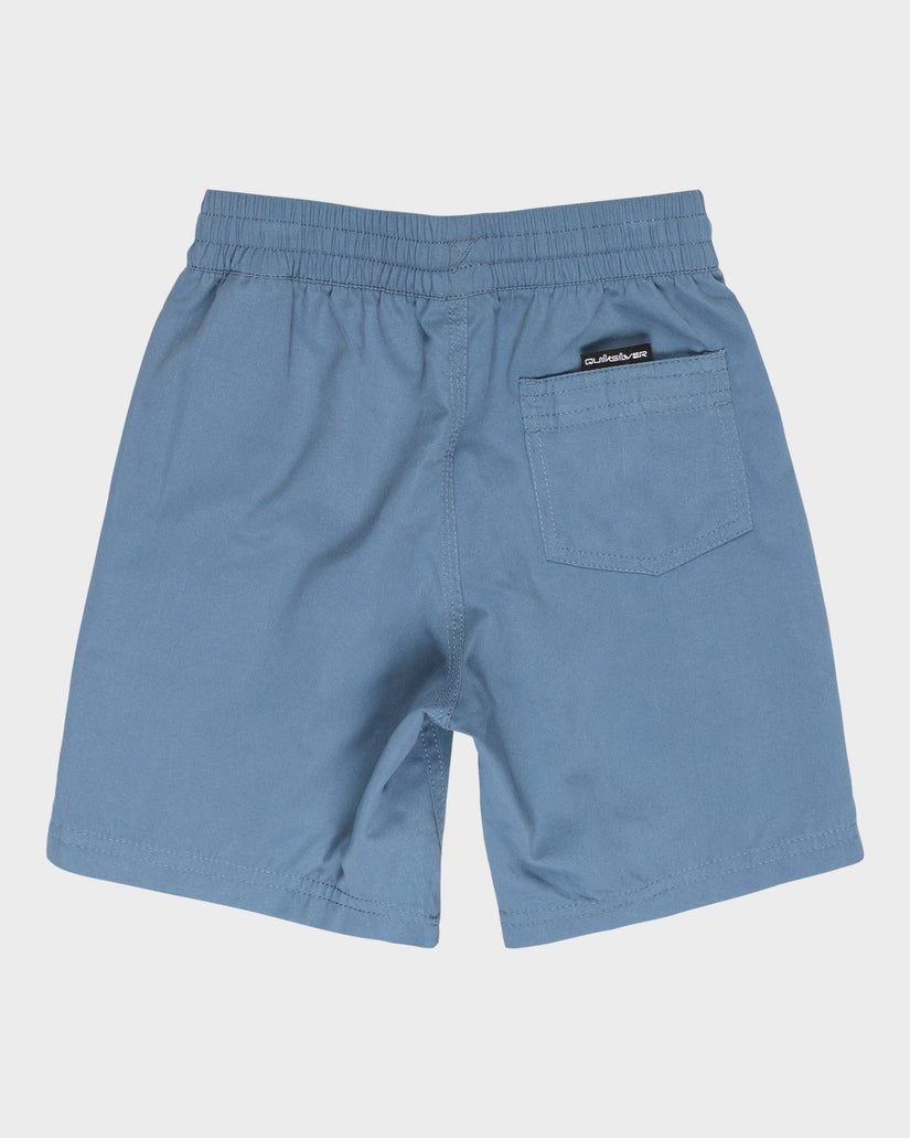 Boys 2-7 Vert Volley 13" Swim Shorts