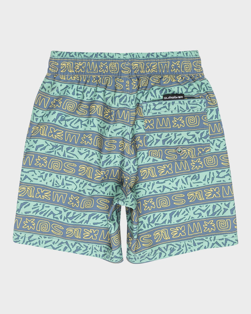 Boys 2-7 Everyday Volley 13" Swim Shorts