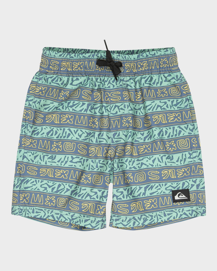 Boys 2-7 Everyday Volley 13" Swim Shorts