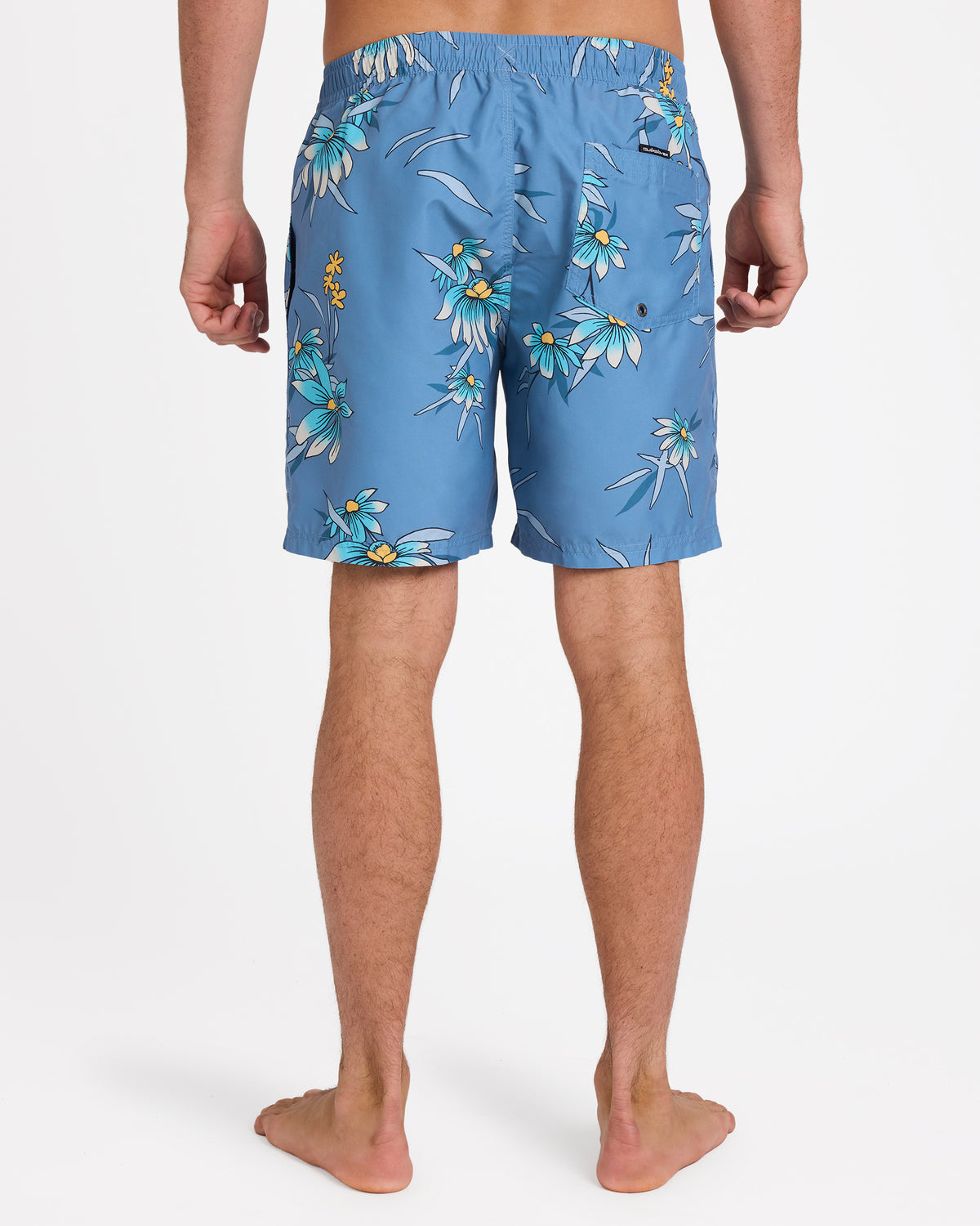 eqyjv04142_quiksilver_bnd8_bck1