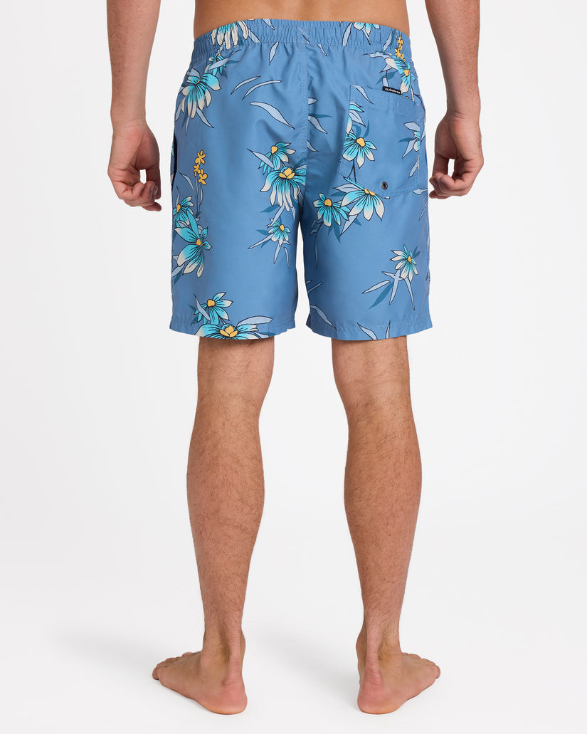 eqyjv04142_quiksilver_bnd8_bck1