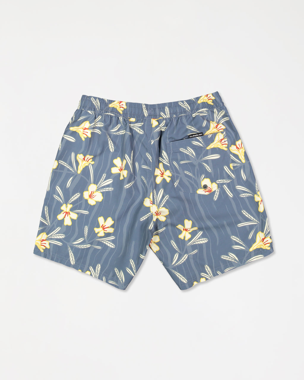 eqyjv04142_quiksilver_bnd8_bck1_flat