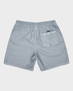 Mens Everyday Volley 17" Swim Shorts