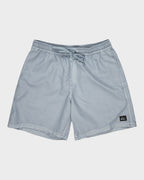 Mens Everyday Volley 17" Swim Shorts