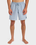 Mens Everyday Volley 17" Swim Shorts