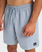 Mens Everyday Volley 17" Swim Shorts