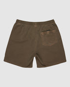 Mens Everyday 17" Swim Shorts