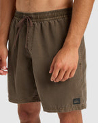 Mens Everyday 17" Swim Shorts