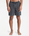 Mens Everyday Surfwash Volley 17