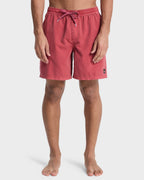 Mens Surfwash 17" Swim Shorts