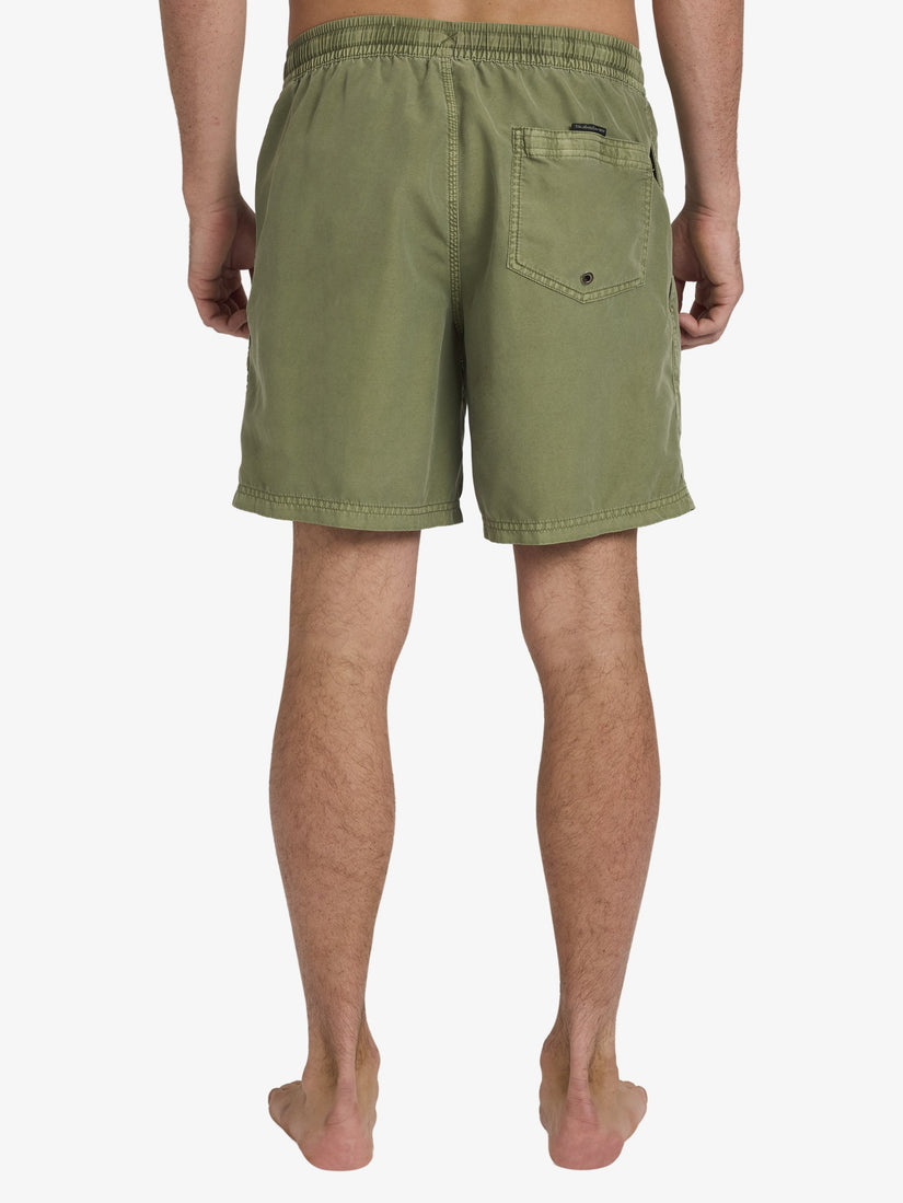 Mens Everyday Surfwash Volley 17" Swim Shorts