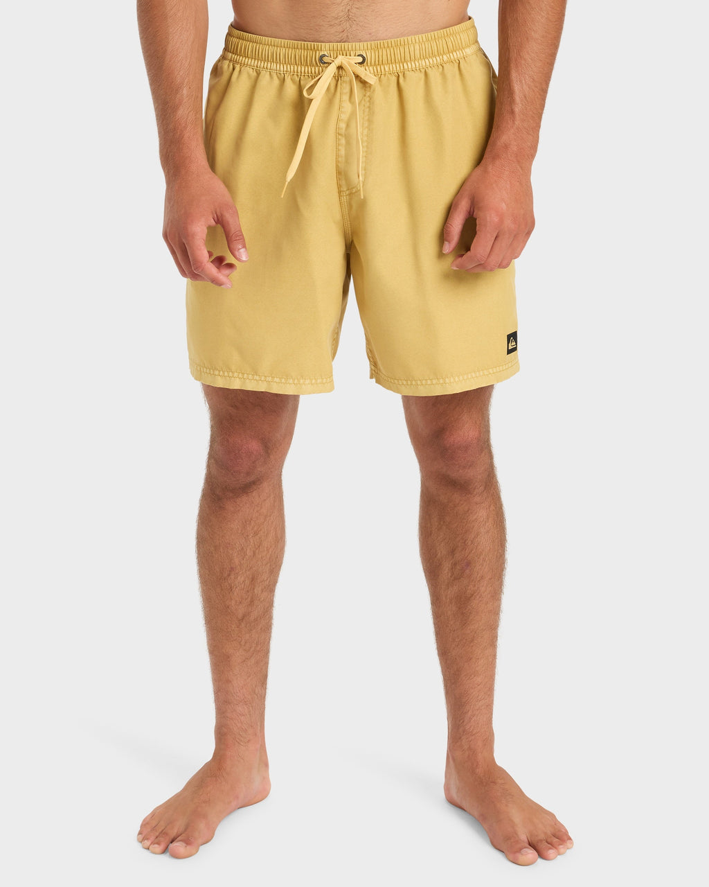 Mens Everyday Volley 17" Swim Shorts