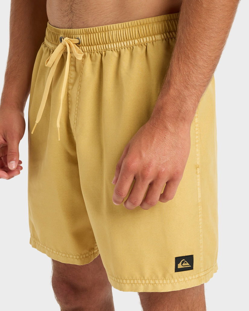 Mens Everyday Volley 17" Swim Shorts