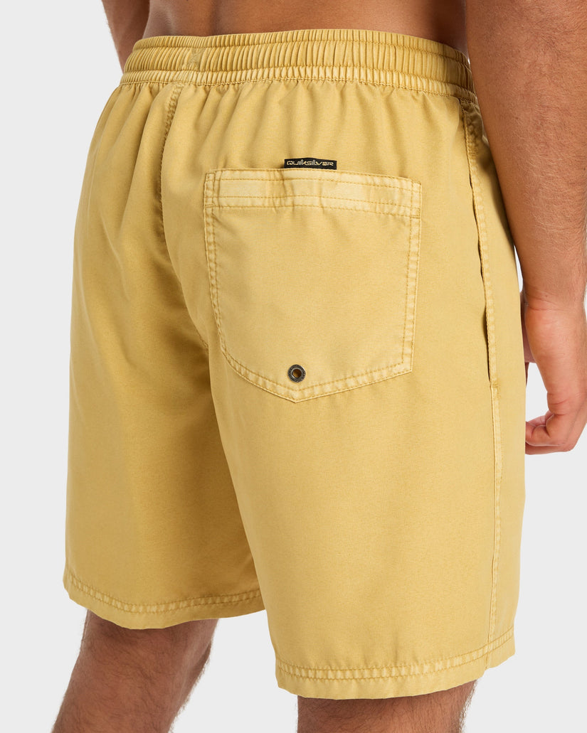 Mens Everyday Volley 17" Swim Shorts
