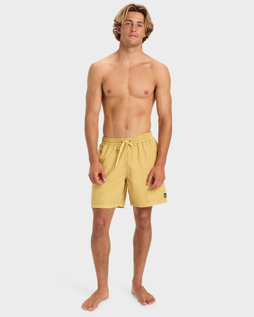 Mens Everyday Volley 17" Swim Shorts