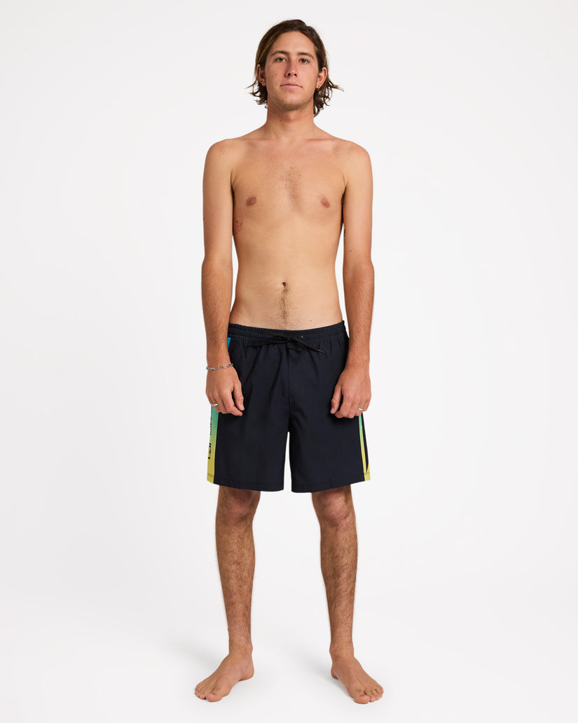 Mens Everyday Volley 17" Swim Shorts