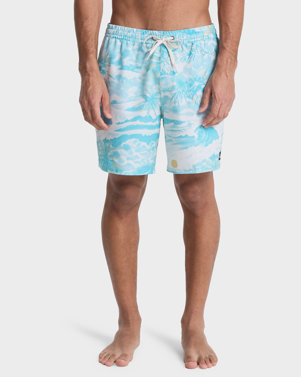 Mens Stretch Printed Volley 17" Swim Shorts