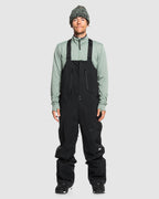 Mens Altostratus Gore-Tex Bib Snow Pants