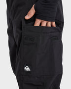 Mens Porter Snow Pants