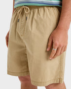 Mens Taxer 18" Walkshorts