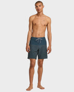Mens Curren Trunk Boardshorts