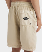 Boys 8-16 All Day Overdye Layback 16" Boardshorts