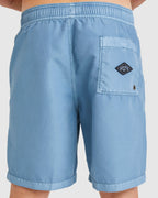 Boys 8-16 All Day Overdye Layback 16" Boardshorts