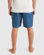 Boys 8-16 Larry Cord Walkshorts