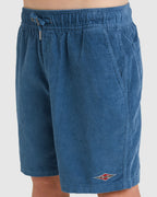 Boys 8-16 Larry Cord Walkshorts