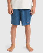 Boys 8-16 Larry Cord Walkshorts