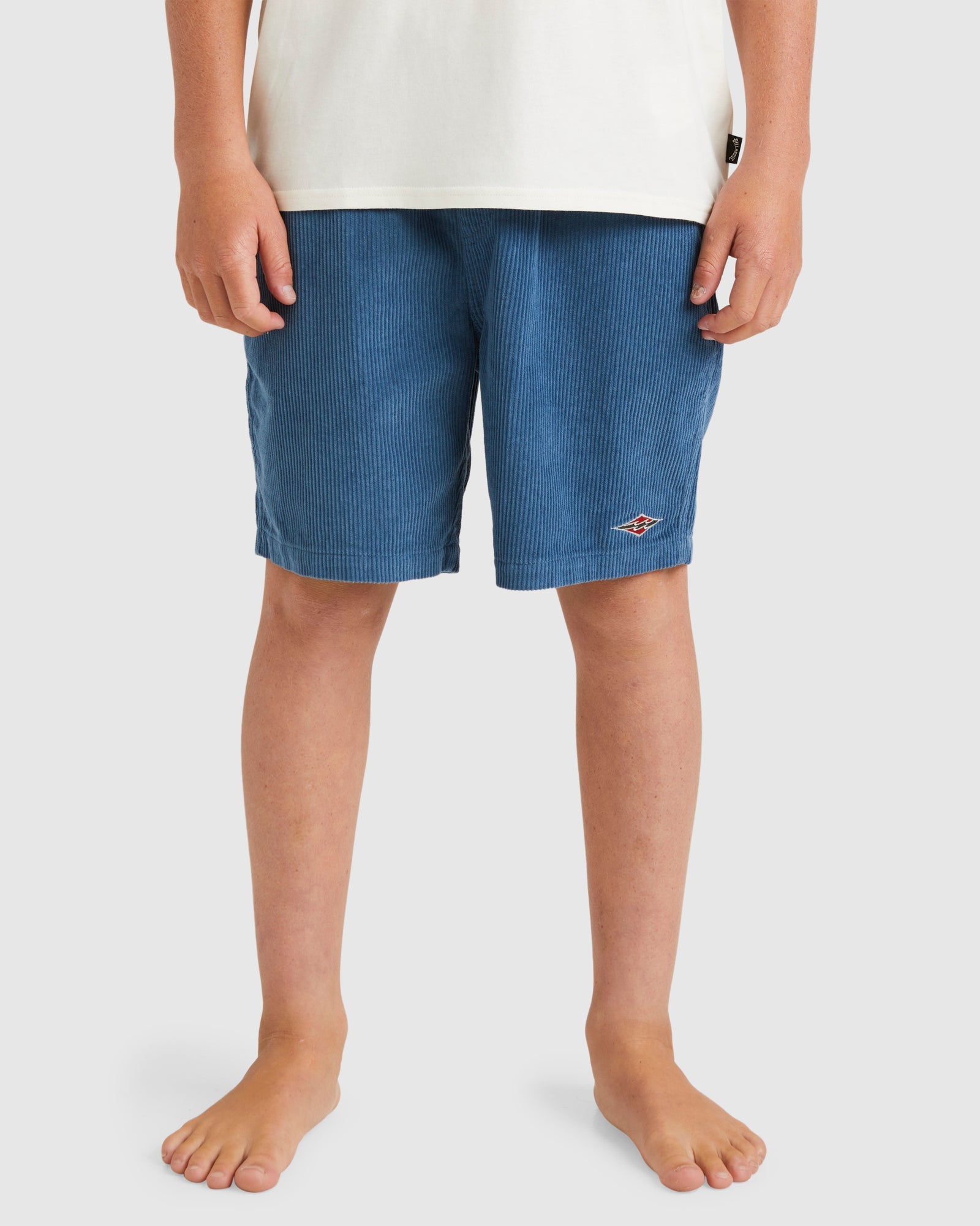 Boys 8-16 Larry Cord Walkshorts