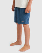 Boys 8-16 Larry Cord Walkshorts