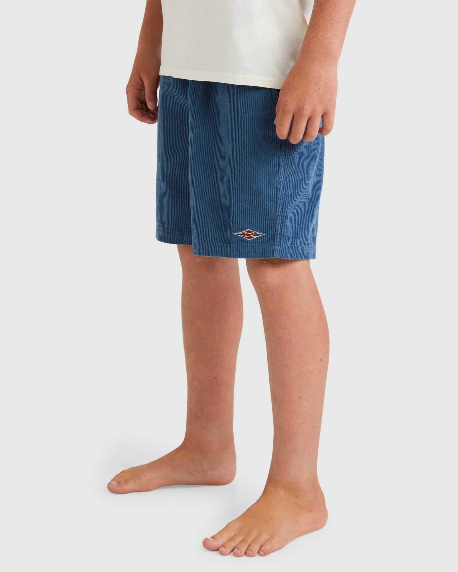 Boys 8-16 Larry Cord Walkshorts