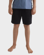 Boys 8-16 Larry Cord Walkshorts