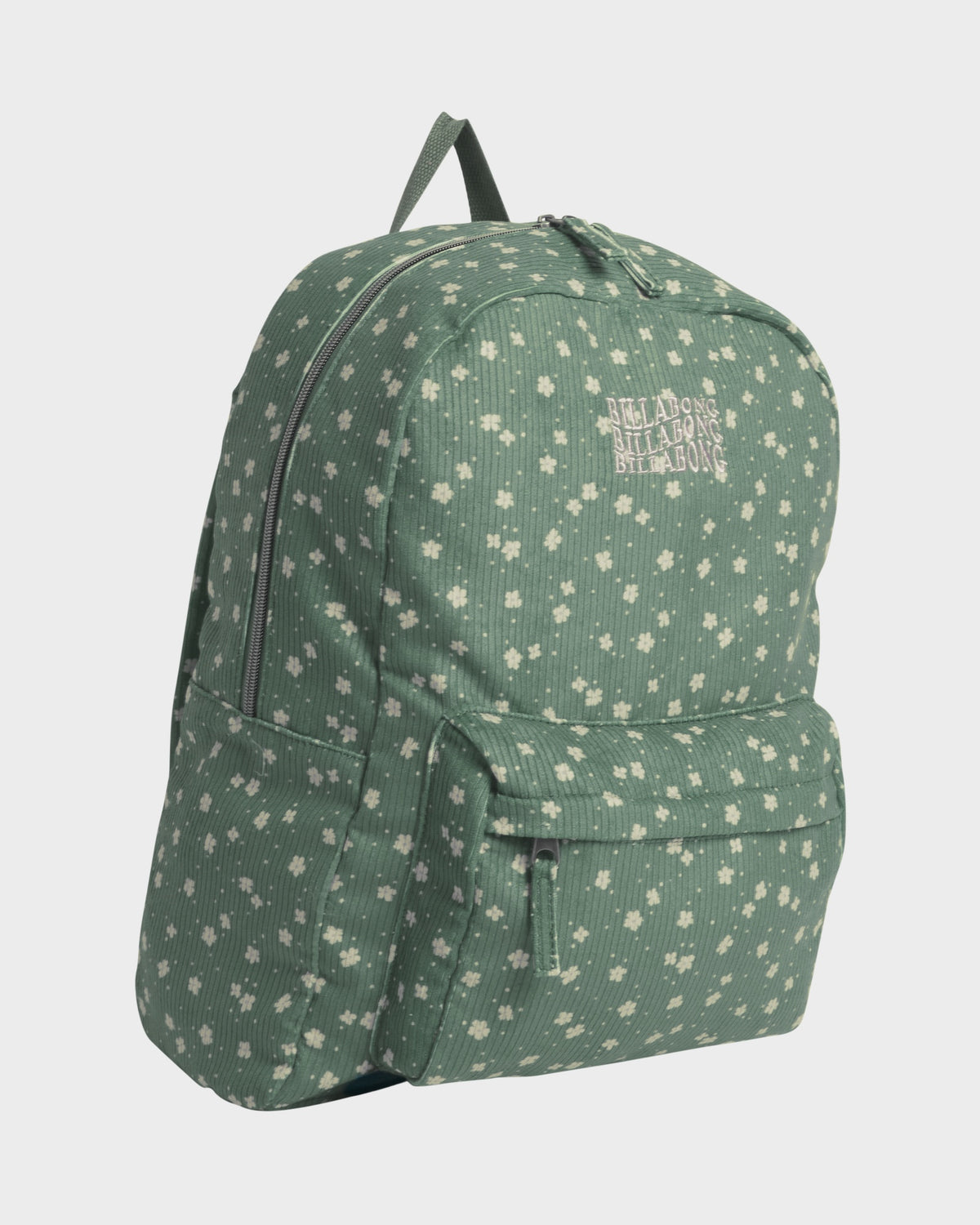 In the Green Schools Out Backpack