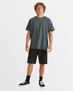 Mens Scheme X Walkshorts