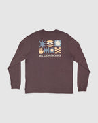 Segment LS