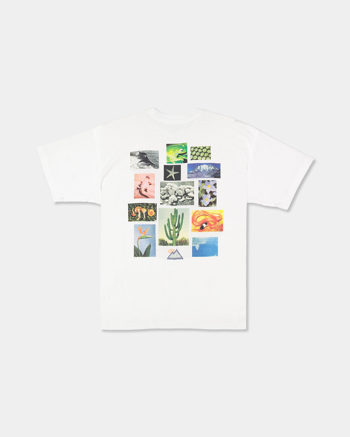 Mens Adiv Moments T-Shirt