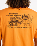 STONEY LODGE SST