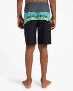 Boys 8-16 Everyday Billboard 17" Boardshorts