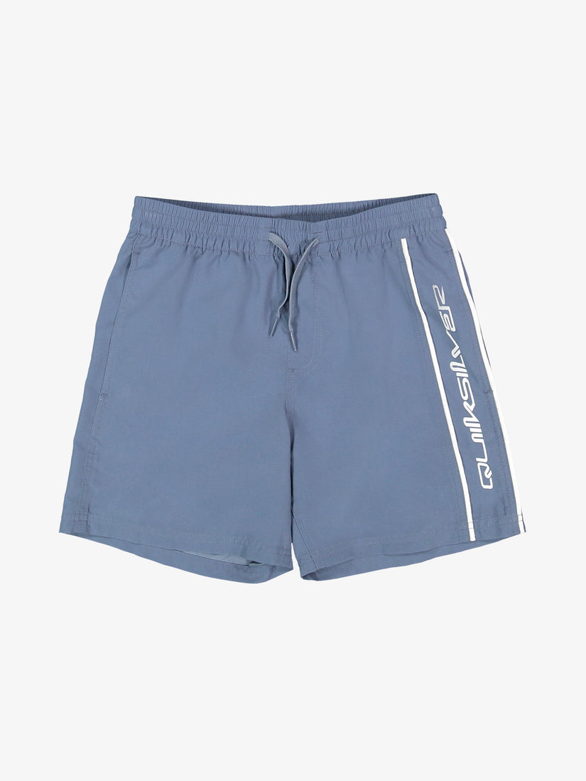 Boys 8-16 Everyday Volley 15" Swim Shorts