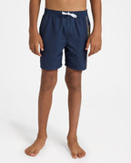 Boys 8-16 Everyday Vert 14" Volley Shorts
