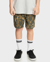 Boys 8-16 Taxer Walkshorts
