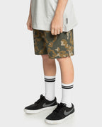 Boys 8-16 Taxer Walkshorts