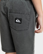 Boys 8-16 Taxer Walkshorts