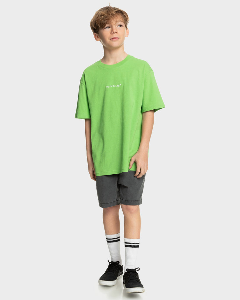 Boys 8-16 Taxer Walkshorts