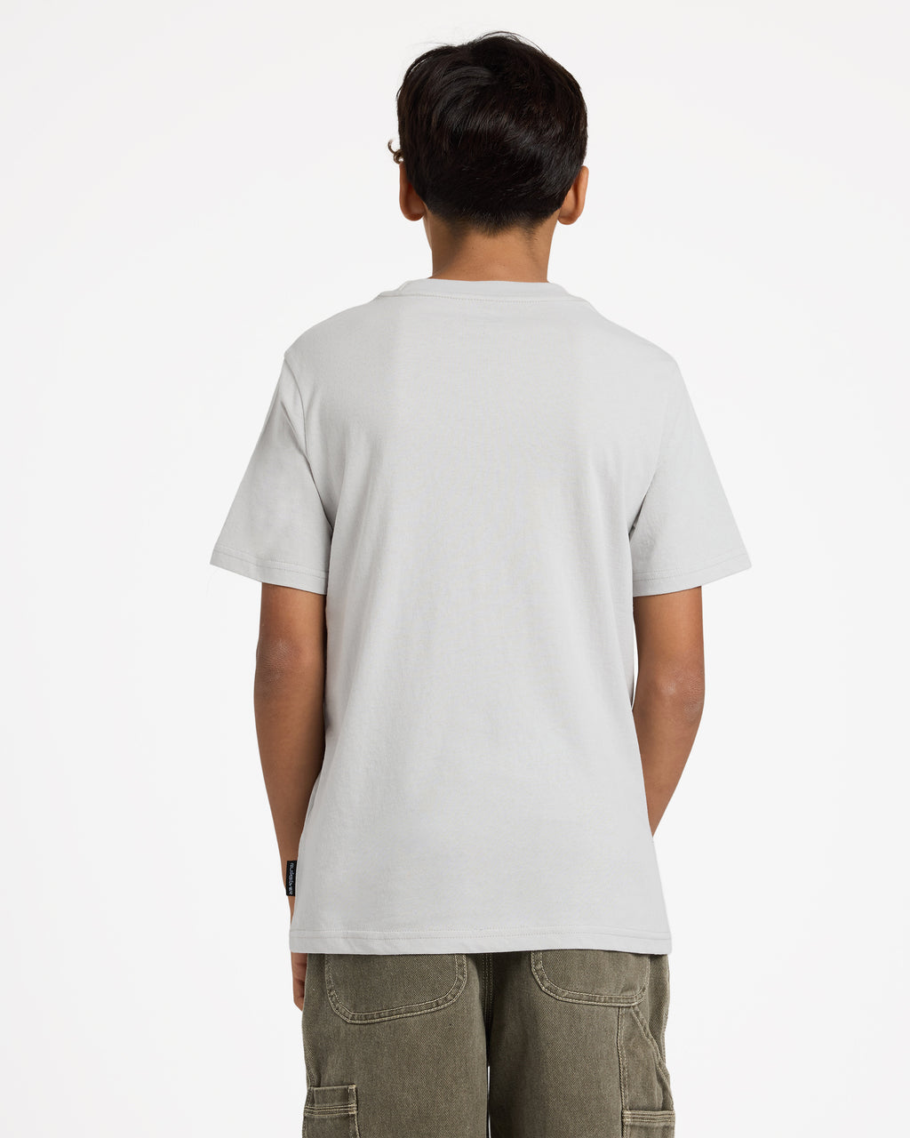 uqbzt03511_quiksilver_sfv0_bck1