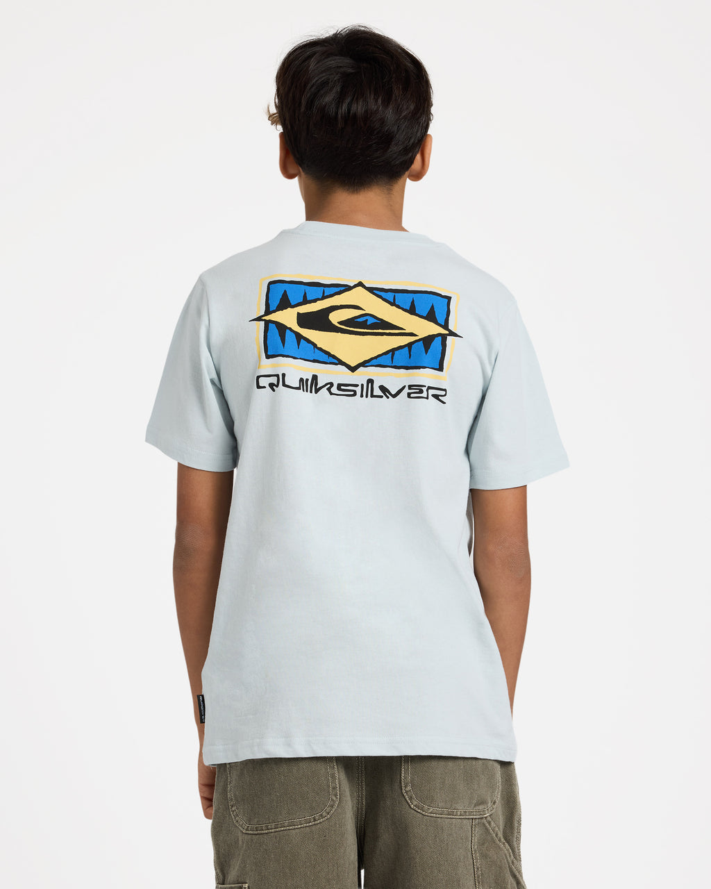 uqbzt03517_quiksilver_bzl0_bck1