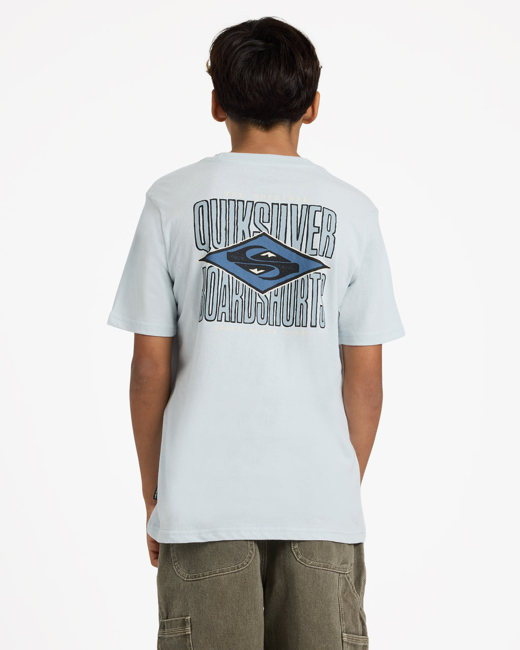 uqbzt03518_quiksilver_bzl0_bck1